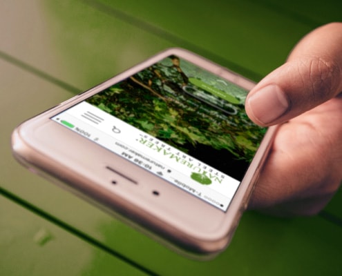 Digital-Marketing-image hand holding mobile phone with website pulled up