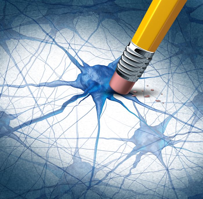 neurons in brain with pencil erasing