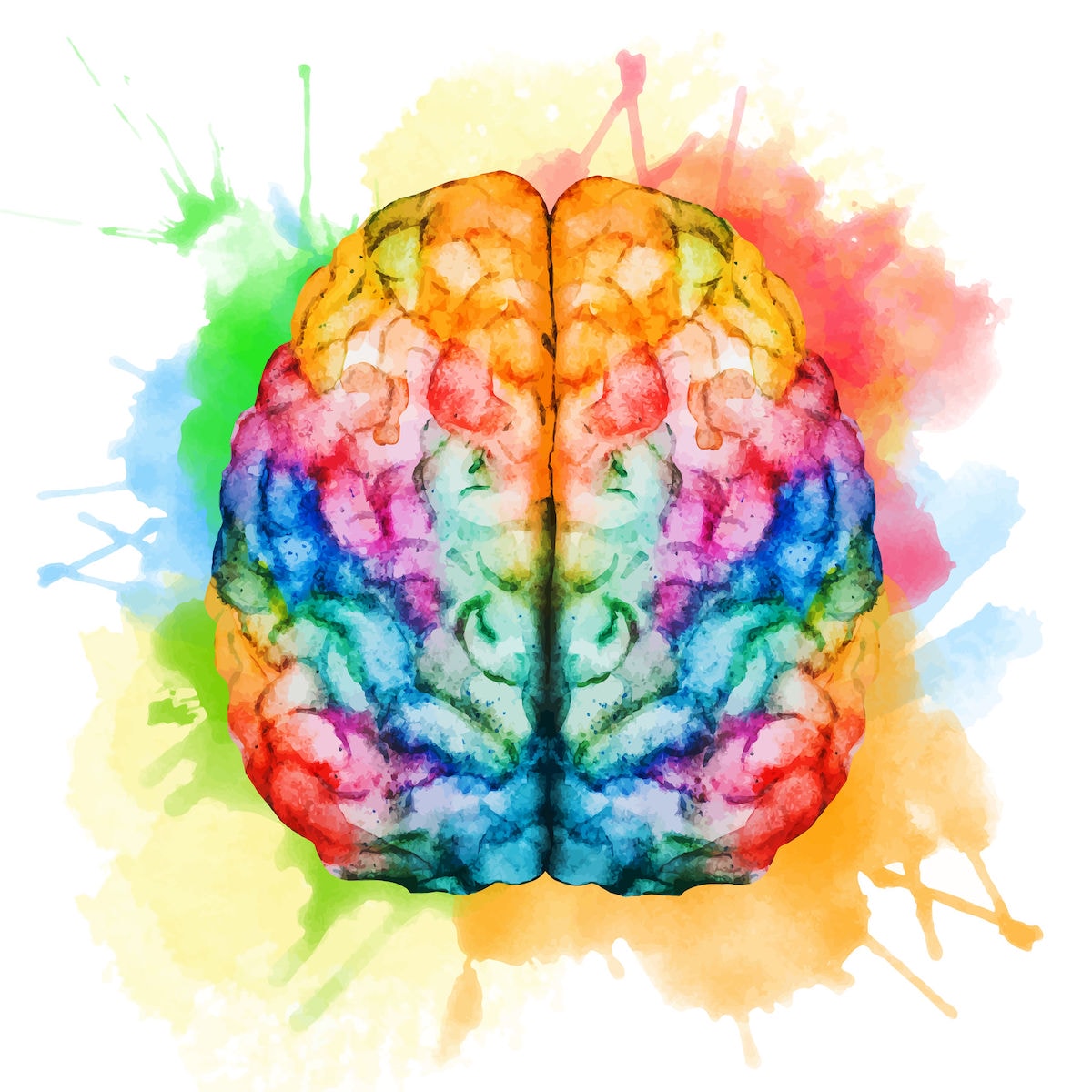 watercolor brain image
